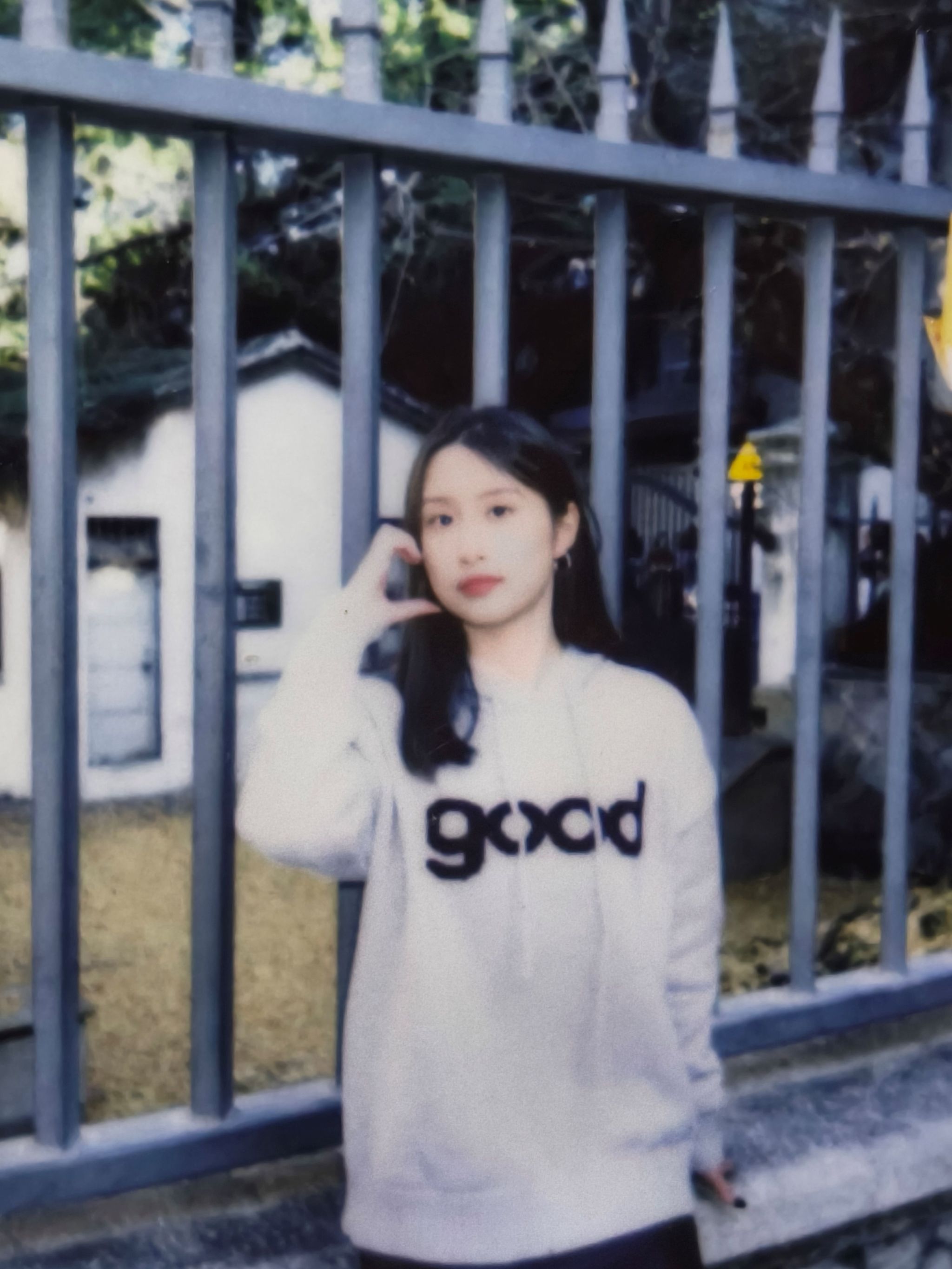 金纯jpg